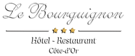 Logo de l'hôtel-Restaurant Le Bourguignon. Restaurant certifié Maître Restaurateur, a l'inspiration terroir de Bourgogne. Une halte gourmande dans une ambiance familiale et détendue